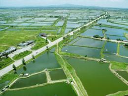 養(yǎng)殖行業(yè)